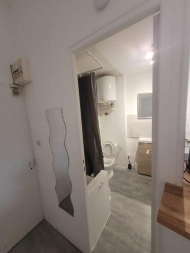 Cette chambre blanche comprend une salle de bains pourvue de toilettes. dans l'établissement Studio 1 - Rouen centre-ville, à Rouen