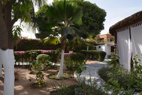 a palm tree in the middle of a garden at Villa Mandel Nafio, Haus mit Garten nahe dem Atlantik in Ouoran
