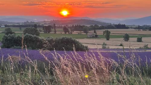 a field of purple flowers with the sunset in the background at Maison privée style provençal in Grane