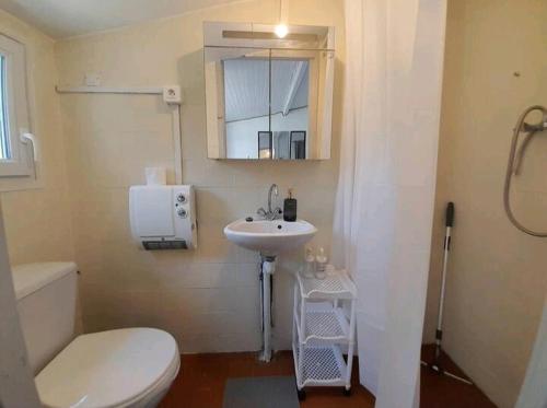 ein Badezimmer mit einem weißen WC und einem Waschbecken in der Unterkunft Toulousaine avec jardin proche centre wifi in Toulouse