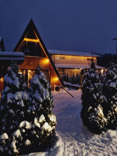 a house with snow covered trees in front of it at Cabana Căsaru in Colibiţa