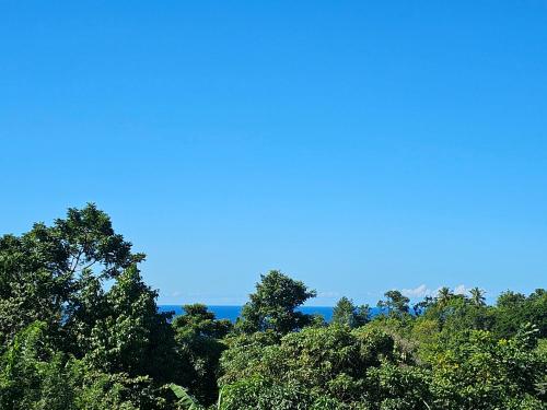 a group of trees with the ocean in the background at Royal Escape - 2 in Anse La Raye