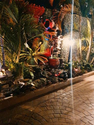 Ambur Gardens Nalya في كامبالا: حديقة بها نباتات وممشى حجري في الليل