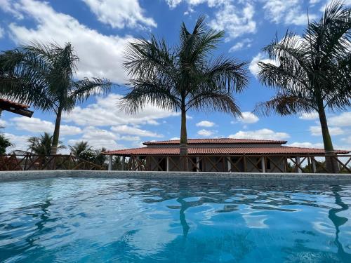 una piscina con palmeras en el fondo en Sítio recanto das Palmeiras en Serrinha