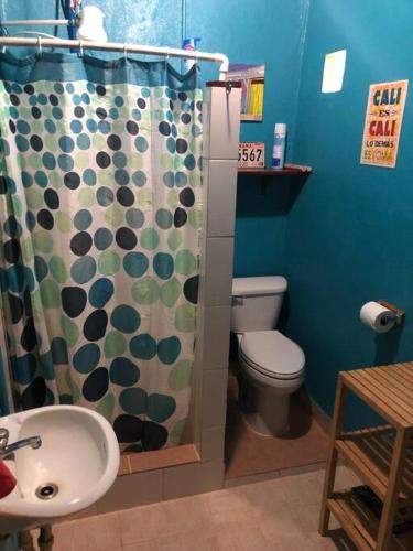 a bathroom with a toilet and a shower curtain at Birds Nest Studio Apartment in Istmito