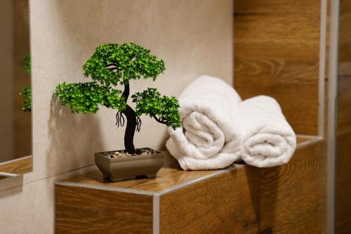 zwei Bonsai-Bäume auf einem Regal in einem Badezimmer in der Unterkunft Apartmani Aria Jahorina in Jahorina