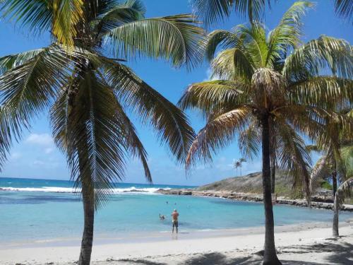 a man standing on a beach with palm trees at Sublime appartement face à la mer, vue panoramique in Saint-François
