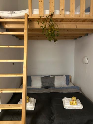 a room with two bunk beds and a ladder at Downtown Apartment Bianca in Bratislava