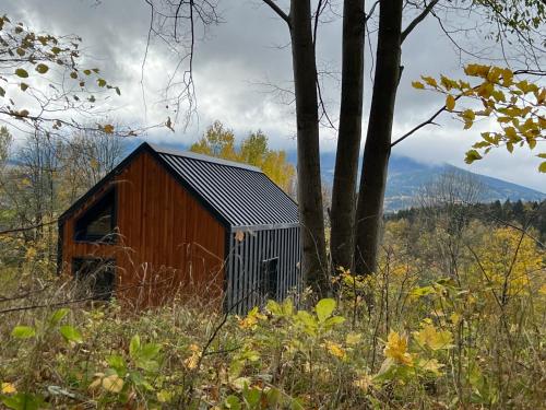 a smallshed in the middle of a field with trees at Challet44 in Jeseník