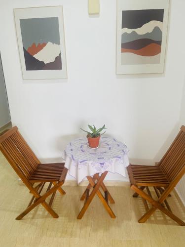 a table with a potted plant sitting between two chairs at Residence Roume Abidjan Plateau in Abidjan