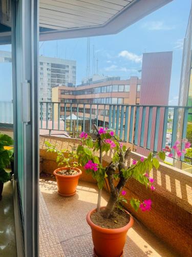 three potted plants on a balcony with a view of a city at Residence Roume Abidjan Plateau in Abidjan