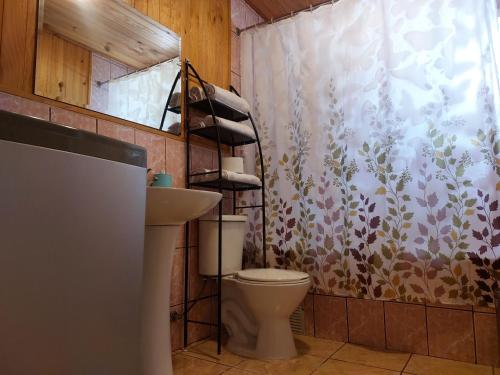 y baño con aseo y cortina de ducha. en Casa Chonchi, Chiloé en Chonchi