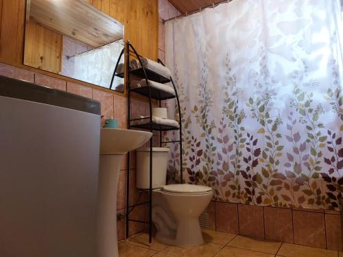 uma casa de banho com um WC e uma cortina de chuveiro em Casa Chonchi, Chiloé em Chonchi