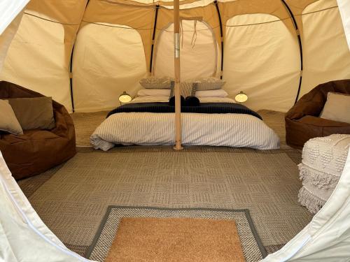 a tent with two couches and a bed in it at Seacroft Estate in Apollo Bay