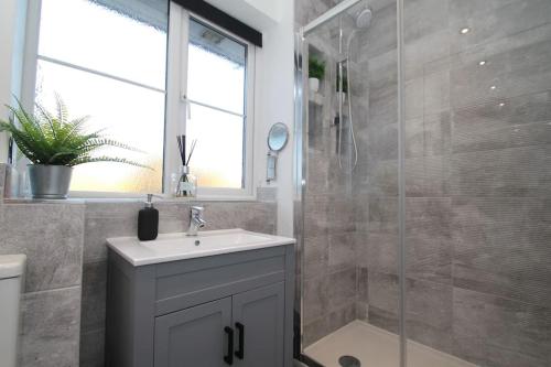 a bathroom with a sink and a glass shower at Lovely house overlooking field with woodland walks in Blackwater