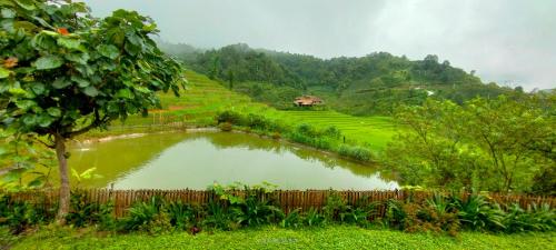 un pequeño estanque en medio de un campo en Ban Lien Pine Homestay, en Ly Tzeu Ping