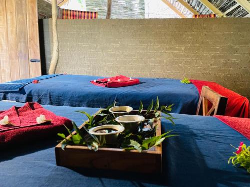 Habitación con 2 camas, sábanas azules y plantas. en Prana Ayurveda Chalet- Sigiriya en Sigiriya