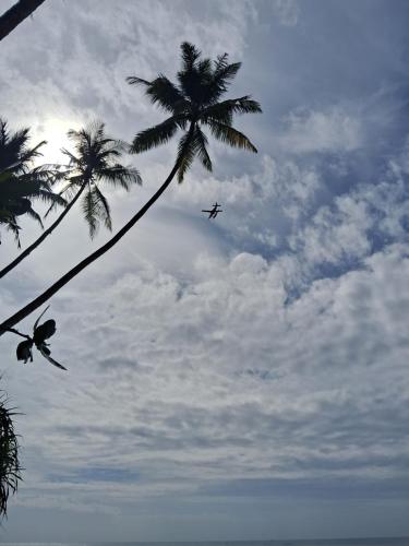 an airplane flying in the sky with palm trees at RKO Villa27 - Unawatuna in Habaraduwa