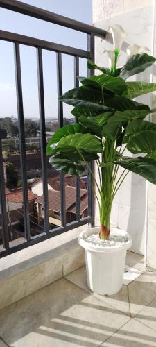 a plant in a white pot on a balcony at Glory homes in Nairobi
