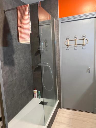 a shower with a glass door in a bathroom at La Résidence 1 in Le Mont-Dore