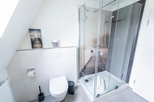 een badkamer met een douche en een toilet bij Hökis-Zimmervermietung 10 mit Küchenzeile in Brande-Hörnerkirchen