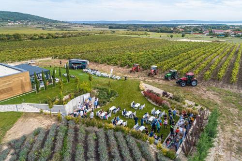 an aerial view of a farm with a group of people at Dobosi Birtokközpont in Szentantalfa