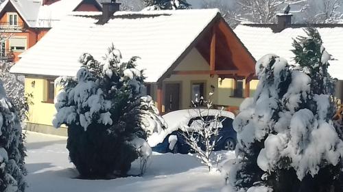 uma casa coberta de neve na frente em Domki BIOSEN em Podgórzyn