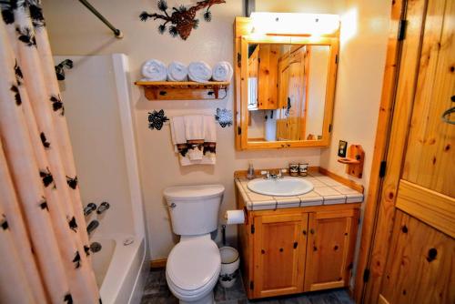 een badkamer met een toilet, een wastafel en een spiegel bij Bear Mountain in Dorrington