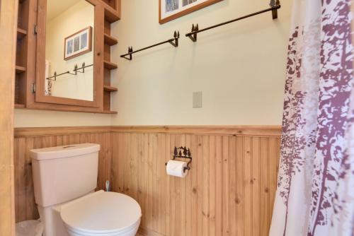 a bathroom with a toilet and a mirror at Serenity Suite in Arnold