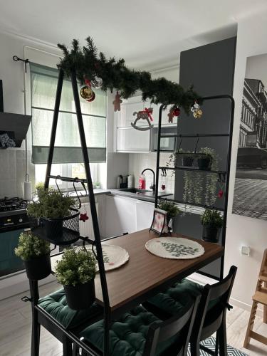 Sophie’s Urban Nest 3534 Miskolc, Kacsóh Pongrác utca 6 kép - 3