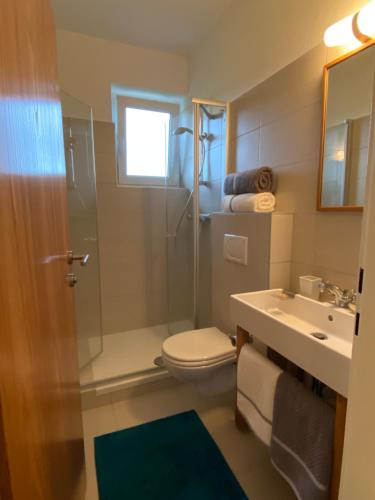 een badkamer met een douche, een toilet en een wastafel bij Landhaus Klopein in Sankt Kanzian