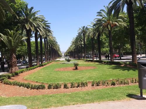 un parc avec des palmiers dans une rue dans l'établissement Ryan 1, à Fès