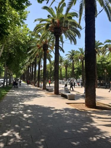 una acera bordeada de palmeras en un parque en Ryan 3, en Fez