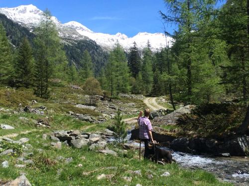a woman standing next to a river with a cow at Ferienwohnungen Appartementhaus Hohe Tauern in Obervellach
