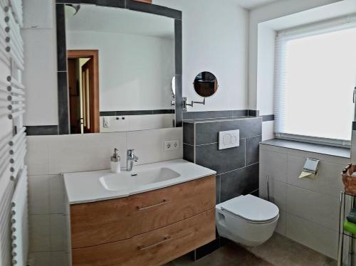 a bathroom with a sink and a toilet and a mirror at Appartement Berndlhof Mitterberg - Gröbming - Schladming in Gersdorf