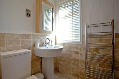 uma casa de banho com um lavatório, um WC e uma janela. em Salcombe Retreat Lodge 2 em Soar