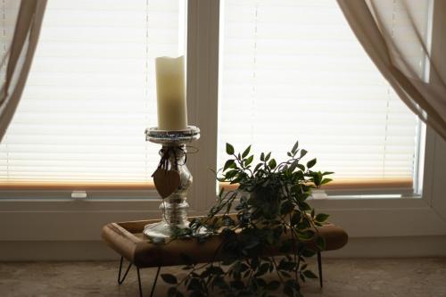 a candle sitting on a table next to a plant at Behaglichkeit und kurze Wege in Schwerin
