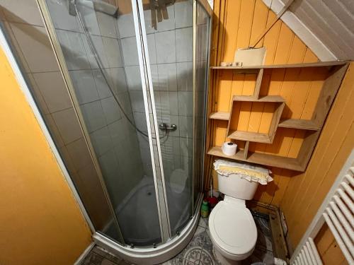 mała łazienka z prysznicem i toaletą w obiekcie Refugio 644 w mieście Porvenir