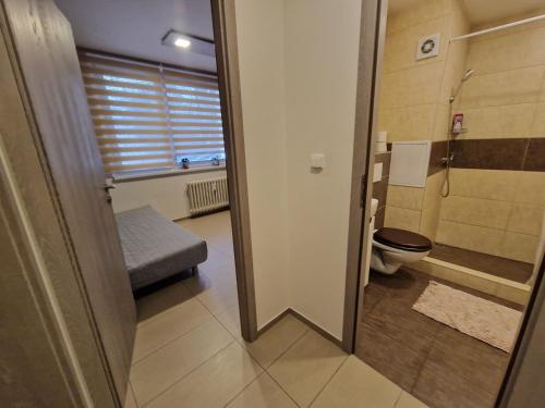 a small bathroom with a toilet and a shower at Apartman Valentina in Zlín