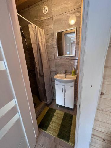 a bathroom with a sink and a shower with a mirror at Dva Braty eco in Podobovets