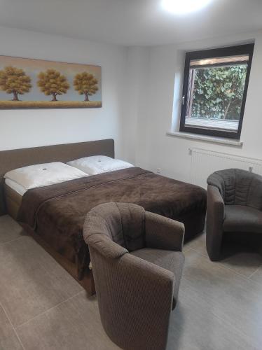 1 Schlafzimmer mit einem Bett, 2 Stühlen und einem Fenster in der Unterkunft Ferienwohnung Neubrandenburg-Broda - Ruhe und mehr in Neubrandenburg