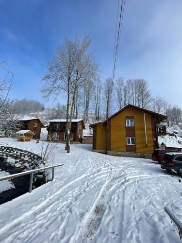 a snow covered yard in front of a house at Dva Braty eco in Podobovets