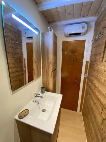 a bathroom with a sink and a mirror at Chalet proche Valberg in Guillaumes