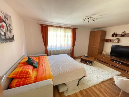 Apartment Cristian في تيميشوارا: غرفة نوم بسرير وتلفزيون بشاشة مسطحة