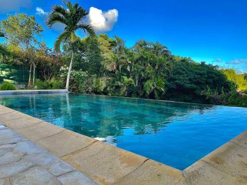 una piscina de agua azul y una palmera en Maison La Samana, en Baie-Mahault