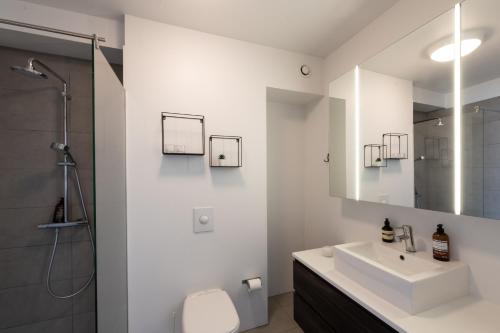 La salle de bains blanche est pourvue d'un lavabo et d'une douche. dans l'établissement Lovely modern 1-bedroom apartment, free parking, à Reykjavik