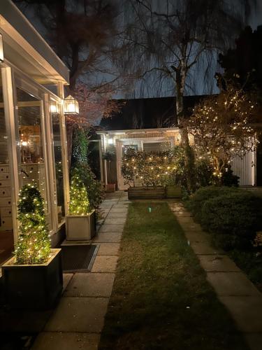 a yard with christmas lights on a house at night at B&B Ereprijs in The Hague