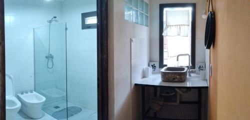 a bathroom with a shower and a toilet and a sink at La Cele Casa de Campo a 4 cuadras de Ruta y 2 del Rio San Pedro in Potrero de Garay