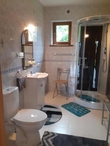 a bathroom with a toilet and a sink and a shower at Forest Edge Cottage in Rīga