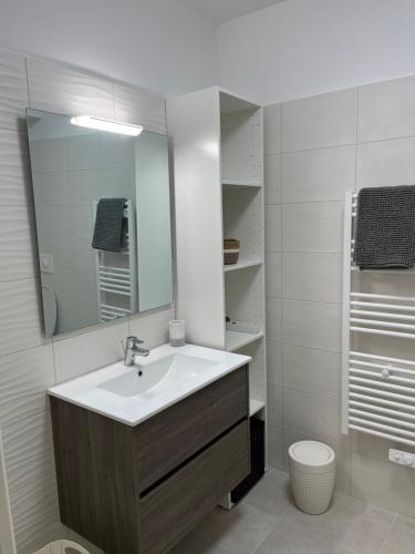ein Badezimmer mit einem Waschbecken, einem Spiegel und einem WC in der Unterkunft Loc a Machja Fiurita 1 ET 2 in Pietrosella